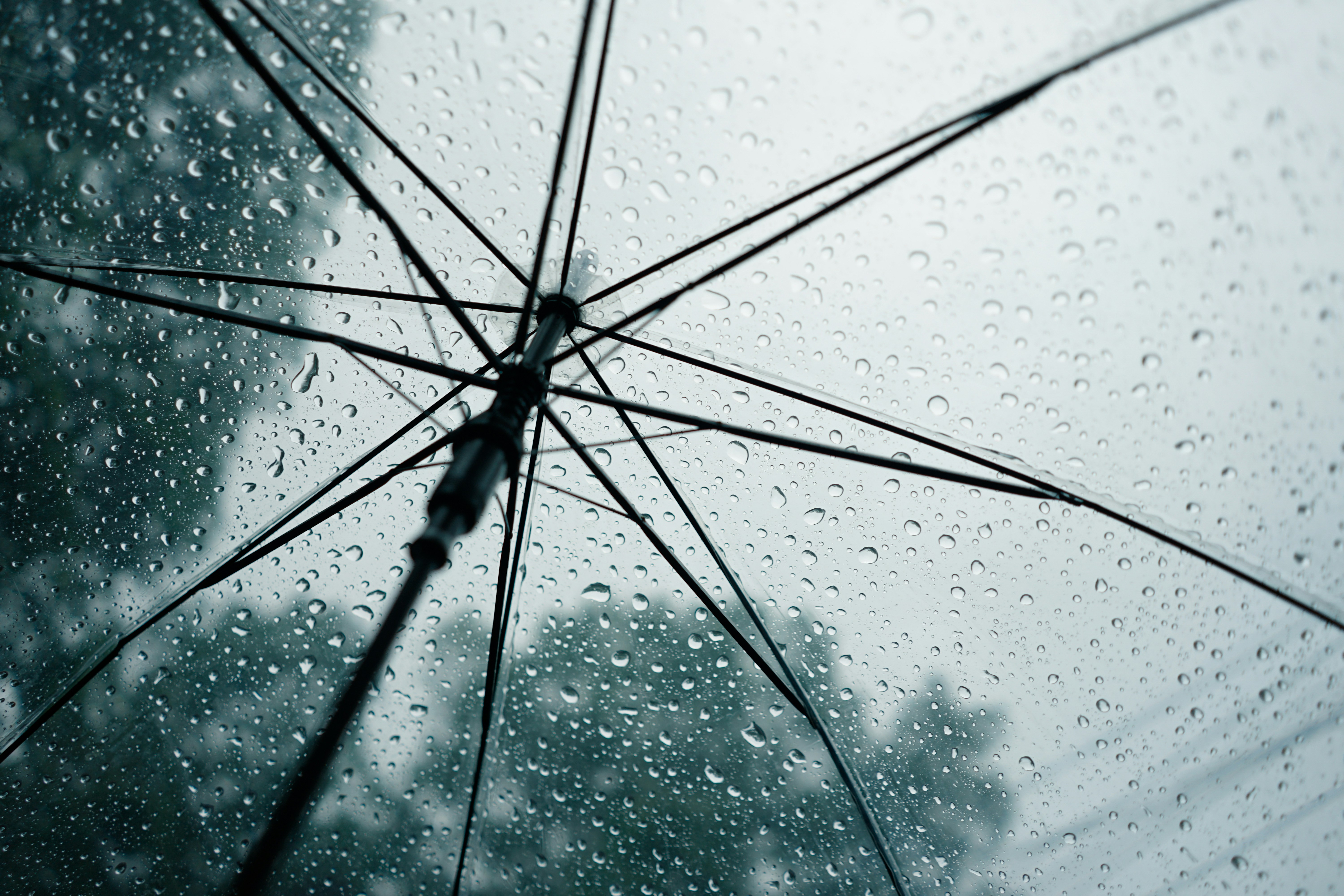 Qi Bki95gaavze Unsplash